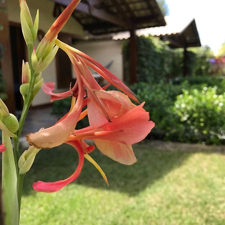 Pousada Rancho Paraiso Pôrto de Pedras 외부 사진