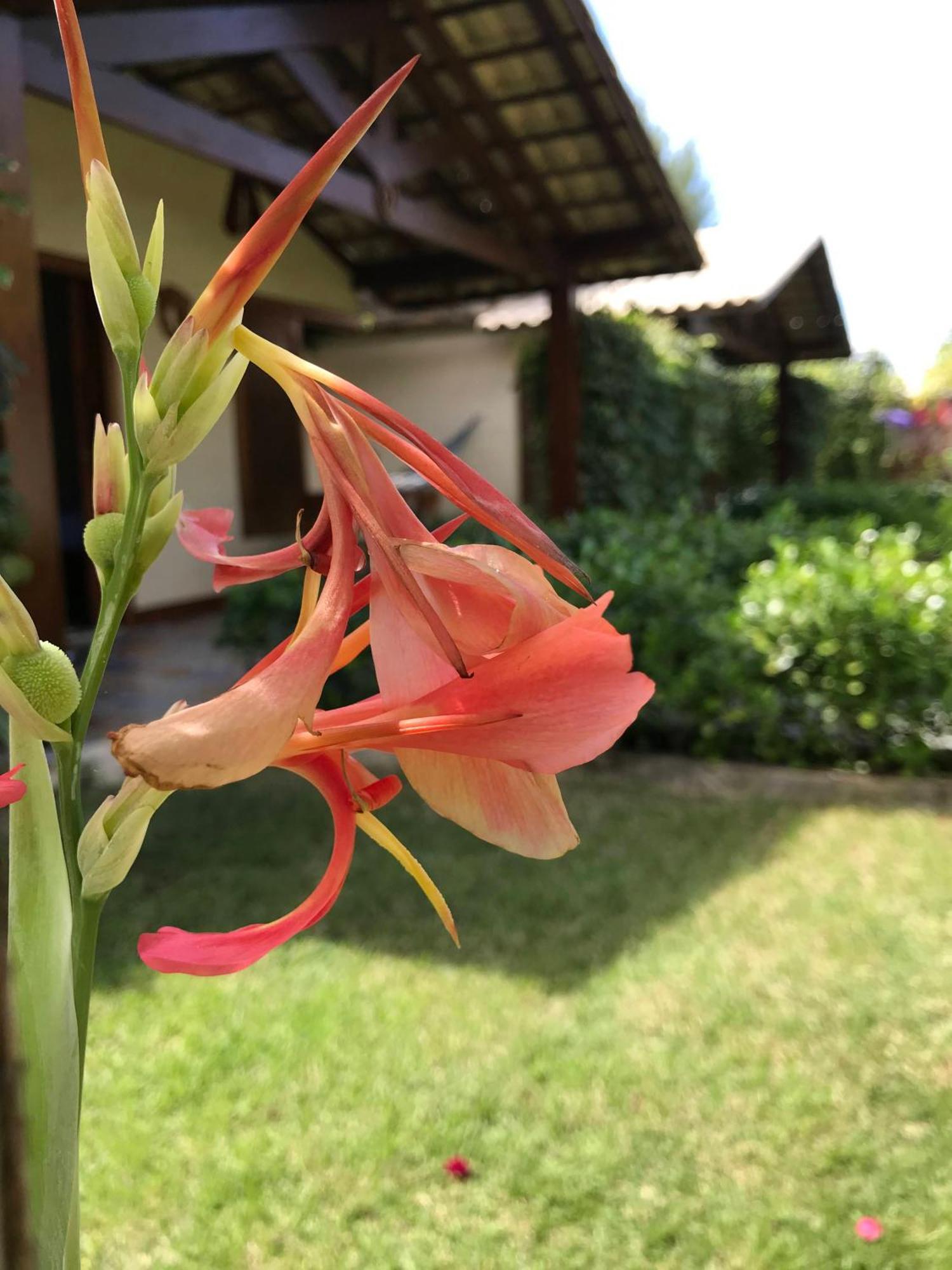 Pousada Rancho Paraiso Pôrto de Pedras 외부 사진