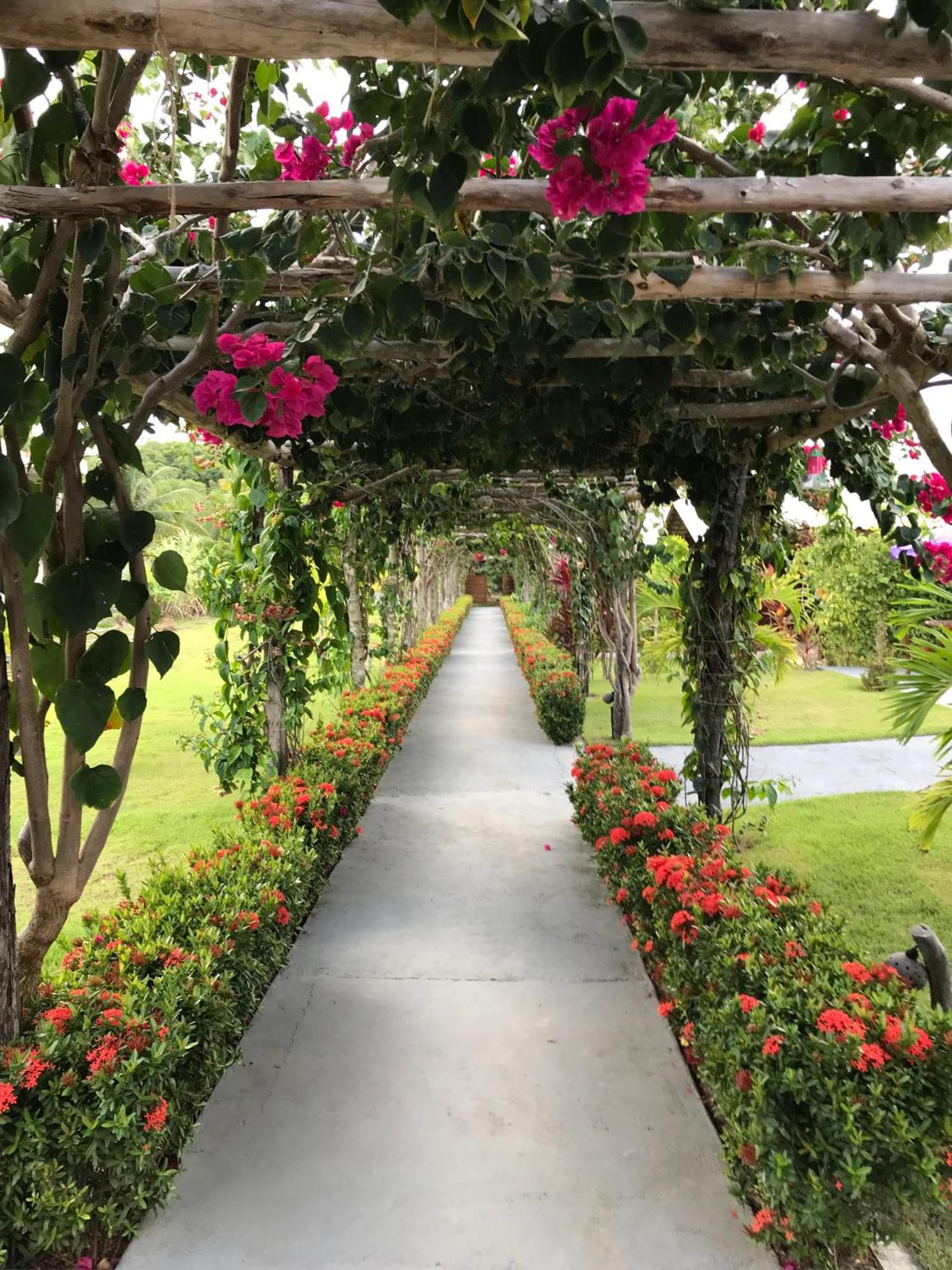 Pousada Rancho Paraiso Pôrto de Pedras 외부 사진