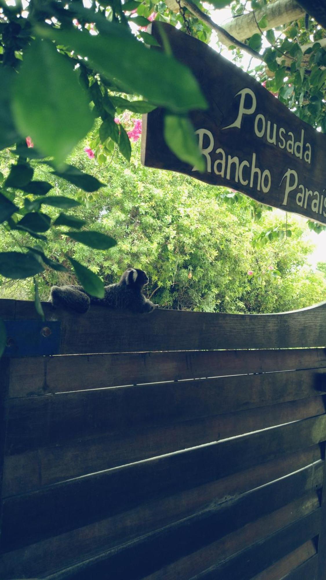 Pousada Rancho Paraiso Pôrto de Pedras 외부 사진